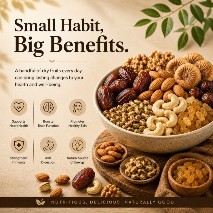 Why Dry Fruits Should Be Part of Your Daily Diet